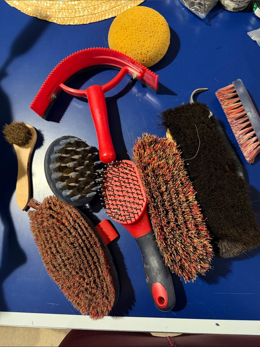 Grooming Brush Bundle for horses